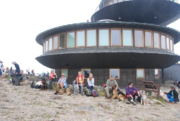 Obóz - Wakacje Z Psem - Karpacz 2016