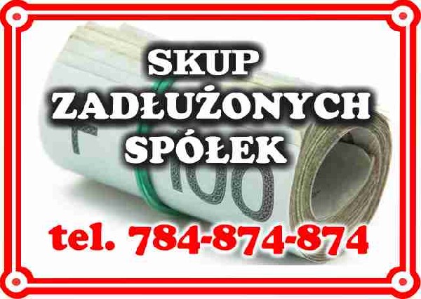 Masz Zadłużoną Spółkę Z O.o. S.a. Lub Jdg? - Pomagamy 299 Ksh Oraz Art 116