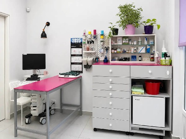 Nowy Vitalvet - Lecznica Weterynaryjna Kraków, Badania I Chirurgia Zwierząt 4
